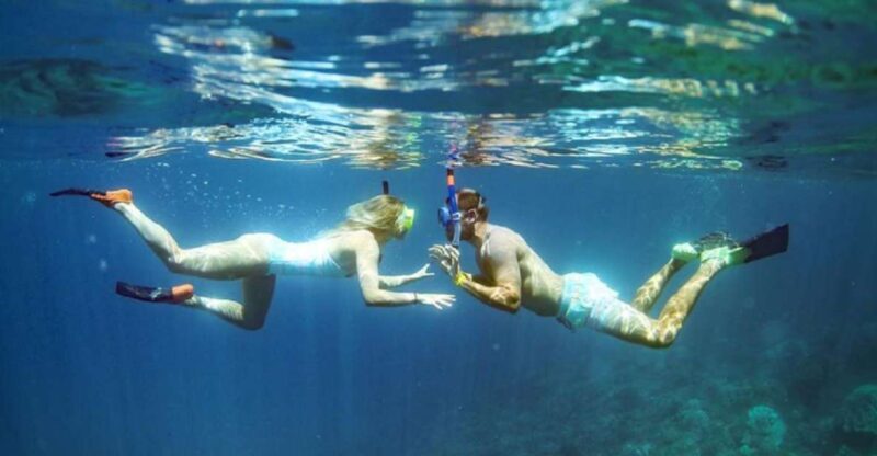 Maui: Kaanapali Beach 4-hour Snorkel w/ BBQ Lunch & Open Bar - FAQs