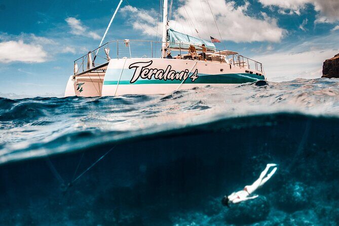 Maui: Kaanapali Beach 5-hour Snorkel w/ BBQ Lunch & Open Bar - Experience the Best of Maui’s Underwater World in Style