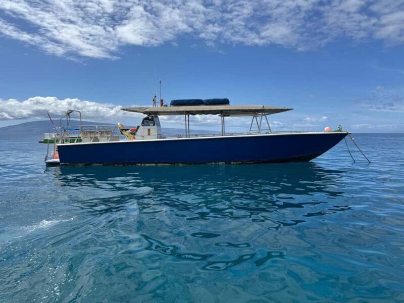 Maui: Lanai Island Snorkeling Tour with Snacks & Drinks - Key Points