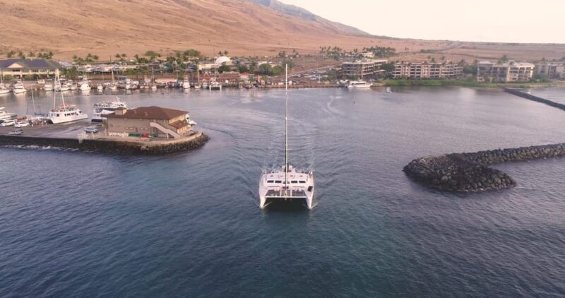 Maui: Luxury Catamaran Turtles & Tacos Snorkel - Why This Tour Offers Real Value