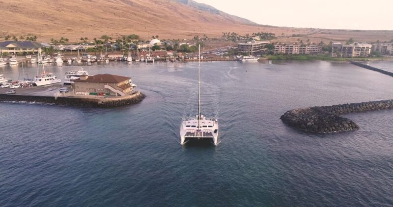 Maui: Luxury Catamaran Whale Watch & Sail - Detailed Breakdown of the Itinerary