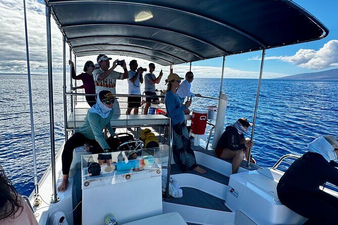 Maui Mid Day Magic Whale Watch - FAQ