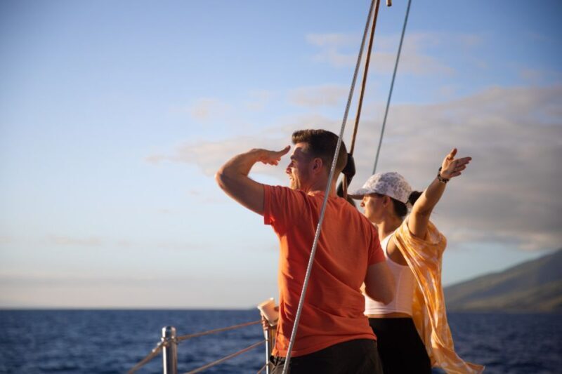 Maui: Morning Sail with the Whales Ma'alaea - A Closer Look at the Maui Morning Whale Sail