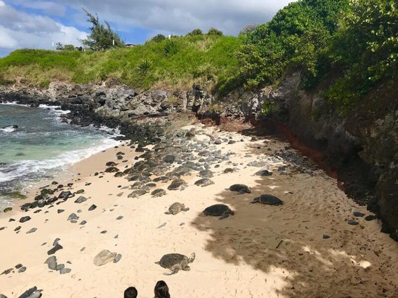 Maui: Private Halfway to Hana Tour - Frequently Asked Questions (FAQs)