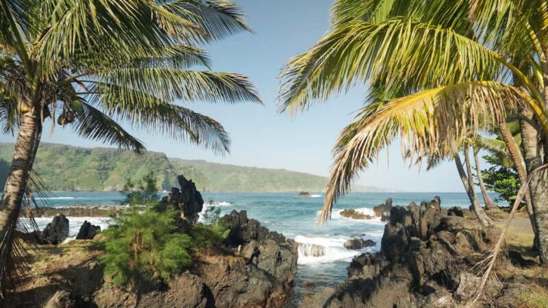 Maui: Private Road to Hana Rainforest and Waterfall Tour - Key Points