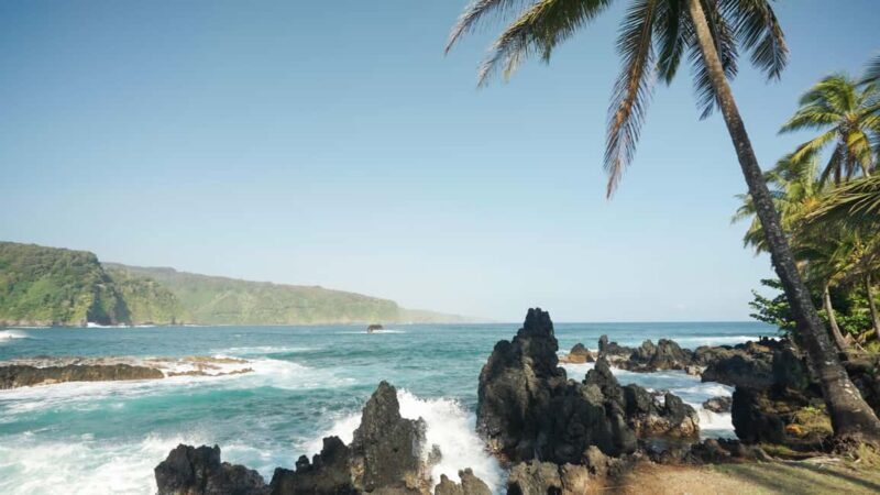 Maui: Private Road to Hana Rainforest and Waterfall Tour - An In-Depth Look at the Maui Private Road to Hana Tour