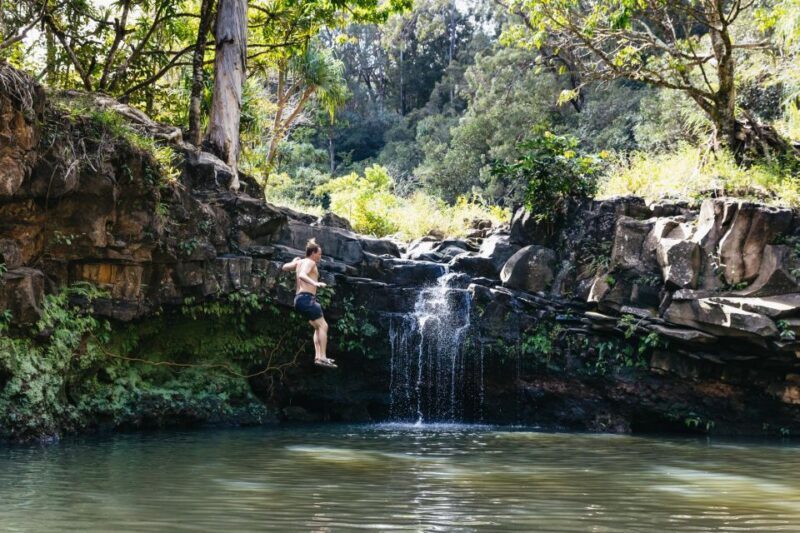 Maui: Rainforest Waterfalls Guided Hike with Picnic Lunch - The Sum Up: Who Should Consider This Tour?