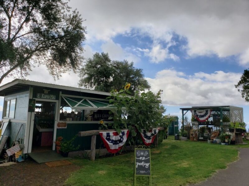 Maui: Road to Hana Adventure with Breakfast & Lunch - Key Points