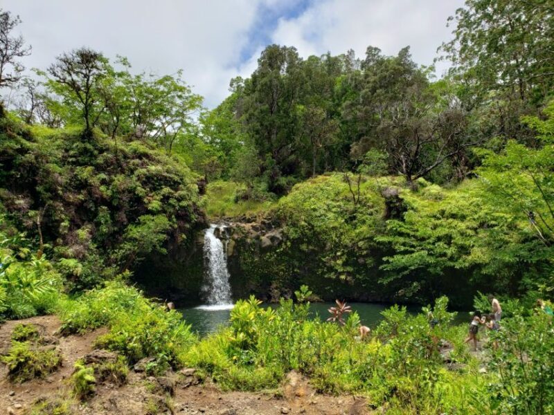 Maui: Road to Hana Adventure with Breakfast & Lunch - Exploring the Road to Hana: What to Expect on This Tour