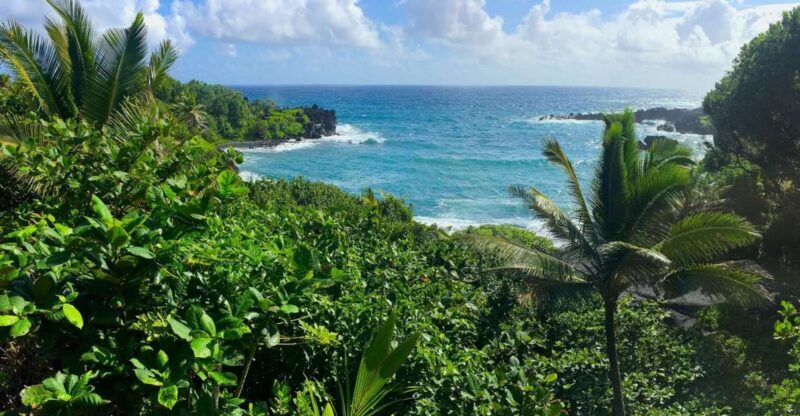 Maui: Road to Hana Sightseeing Tour - A Deep Dive Into the Maui Road to Hana Experience