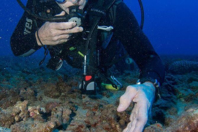 Maui Scuba Diving Introductory Lesson from Lahaina - An In-Depth Look at the Maui Introductory Scuba Experience