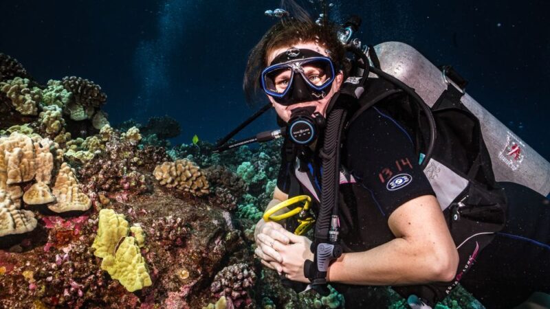 Maui: Small Group Shark & Turtle Scuba Dive from Shore - Who Would Enjoy This Dive?