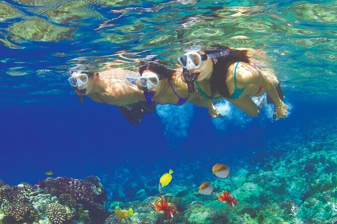 Maui Snorkel and Sunset Sail - Maui Snorkel and Sunset Sail: An Authentic Ocean Adventure