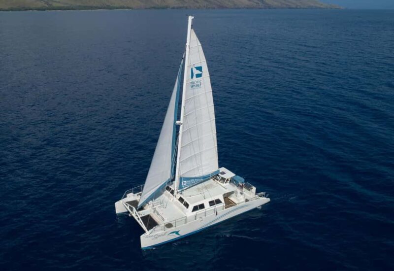 Maui: Snorkel and Sunset Sail with Water Slide - Discovering Maui’s Water-Based Wonders with the Snorkel and Sunset Sail