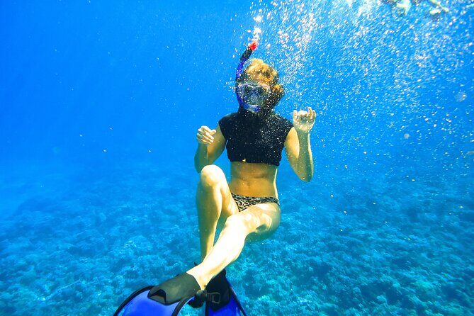 Maui Snorkel & Slide - Frequently Asked Questions