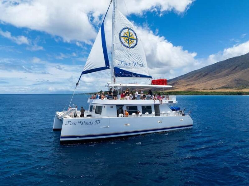 Maui: Snorkel Tour to Coral Gardens - An In-Depth Look at the Maui Snorkel Tour to Coral Gardens