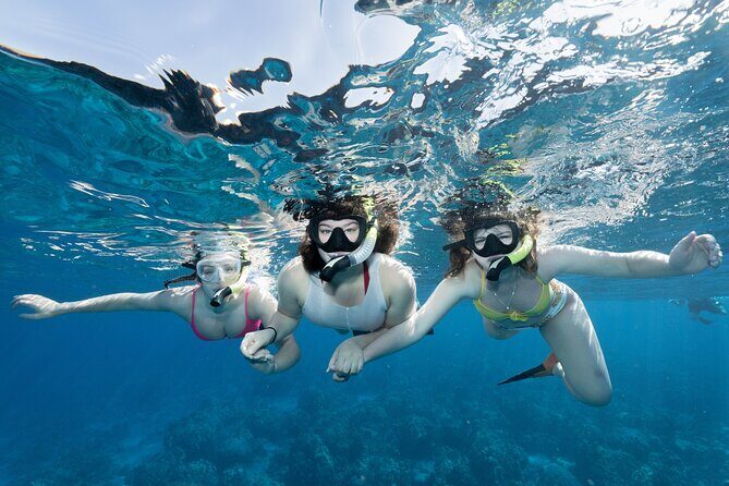 Maui Snorkeling Boat Tour to Turtle Town Aboard Quicksilver - Maui Snorkeling Boat Tour to Turtle Town Aboard Quicksilver