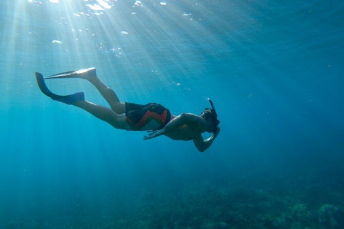 Maui Snorkeling Boat Tour to Turtle Town Aboard Quicksilver - The Practical Side: Pricing, Logistics, and Tips