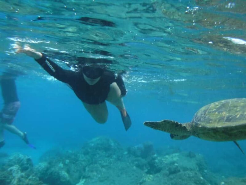 Maui: Snorkeling Tour with Gear and Instructor - Authentic Insights from Travelers