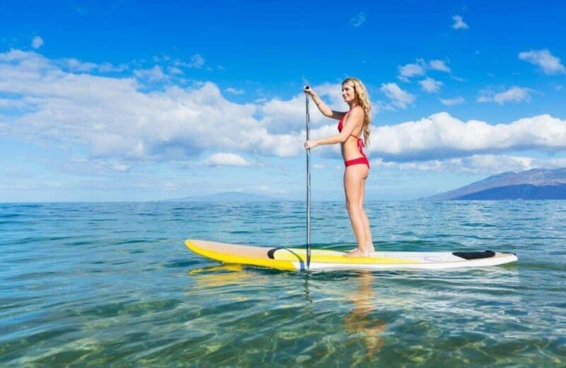 Maui: Stand-Up Paddleboard Rental - Key Points