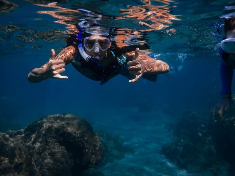 Maui: Turtle Town Sunset Glow Snorkel With Optional Photo - What do travelers say?
