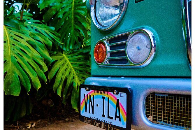 Maui Vanilla Farm Tour Discover Organic Farming and Tasting - The Sum Up