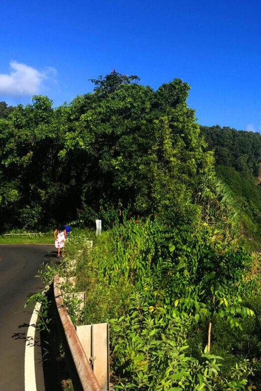 Maui: West Maui Tour with Breakfast and Lunch - Exploring the Itinerary in Detail