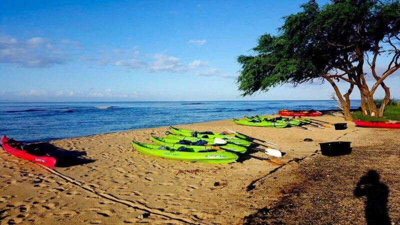 Maui: West Side Discovery Kayak & Snorkel from UKUMEHAME - Maui: West Side Discovery Kayak & Snorkel from UKUMEHAME