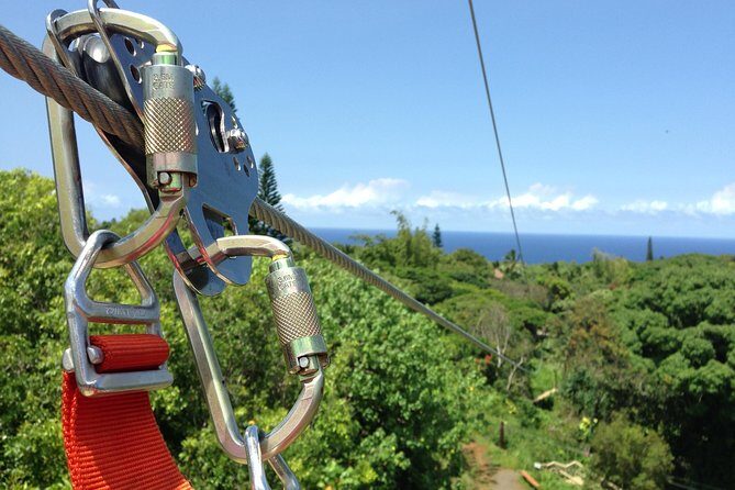 Maui Zipline Eco Adventure: 8 Lines through the Jungle - A Deep Dive into the Maui Zipline Eco Adventure Experience