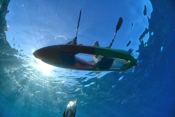 Maui's Only Clear Bottom Kayak Rental (priced per tandem kayak) - Key Points