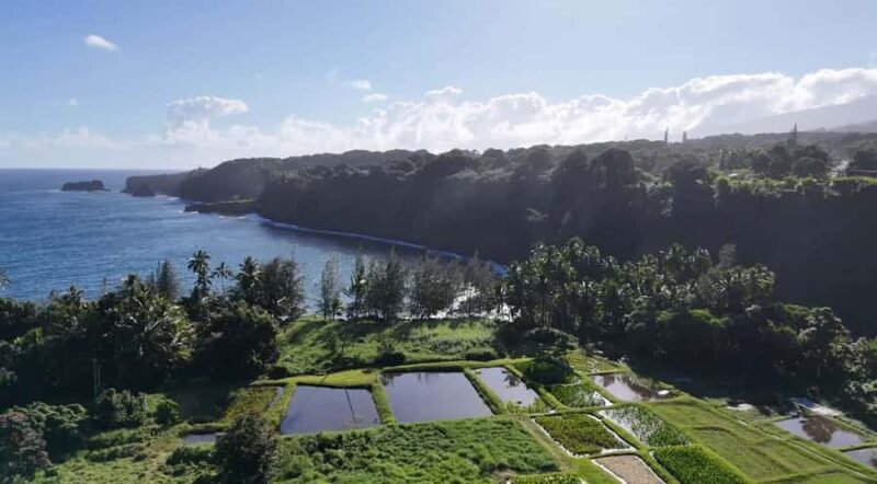 Maui's Sea Turtle & Waterfalls: Taste of Hana Guided Tour - Who Should Consider This Tour?