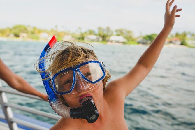 Mauna Kea 3hr Two Stop Sealife Snorkel Adventure - Key Points