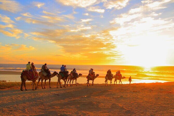 Maverick and RZR in the Beach and Desserts from Los Cabos - An Exciting Mix of Off-Road Thrills and Cultural Flavors