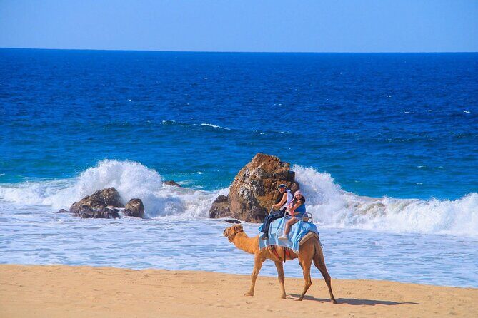 Maverick and RZR in the Beach and Desserts from Los Cabos - Who This Tour Is Best For