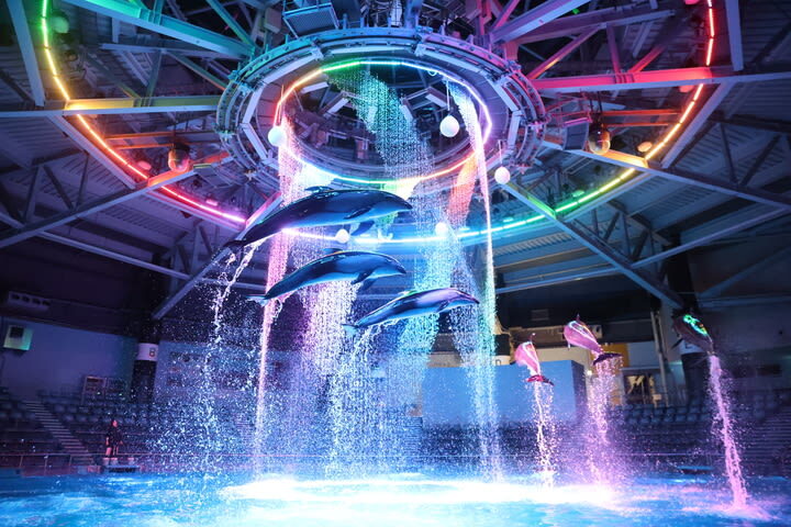 Maxell Aqua Park Shinagawa Ticket - What to know before you go