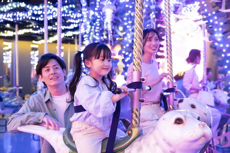 Maxell Aqua Park Shinagawa Ticket - Jellyfish Ramble and Little Paradise