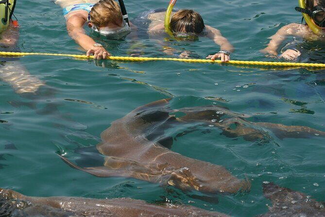 Maya Culture and History, Secluded Island and Animal Rescue Center at Maya Key - Discovering Maya Key: A Unique Blend of Culture, Nature, and Relaxation