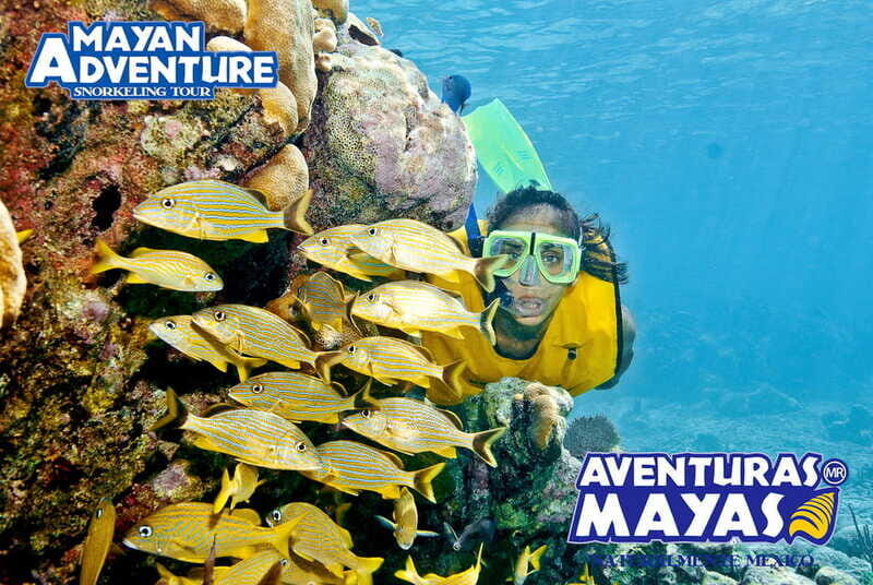 Mayan Adventure - 3 different snorkeling sites in one day! - Why This Tour Delivers Great Value