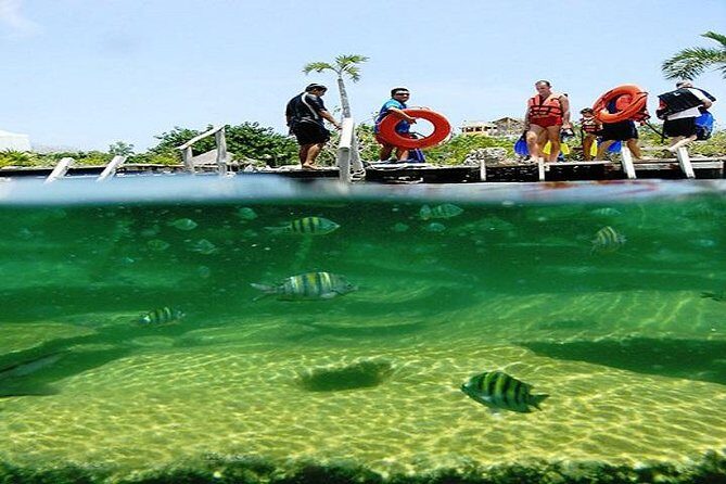 Mayan Adventure from Cancun - Who Should Consider This Tour?