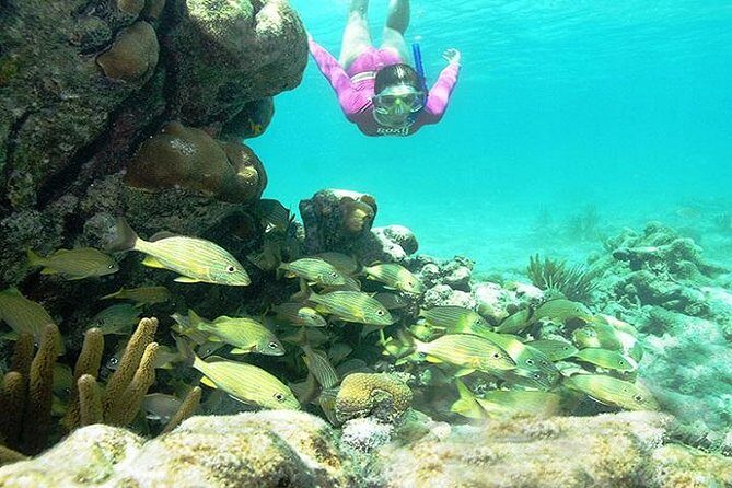 Mayan Adventure from Playa del Carmen - Final Thoughts