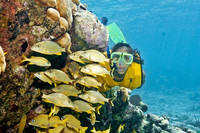 Mayan Adventure Snorkeling Tour from Playa del Carmen or Riviera Maya - A Deep Dive into the Mayan Adventure Snorkeling Tour