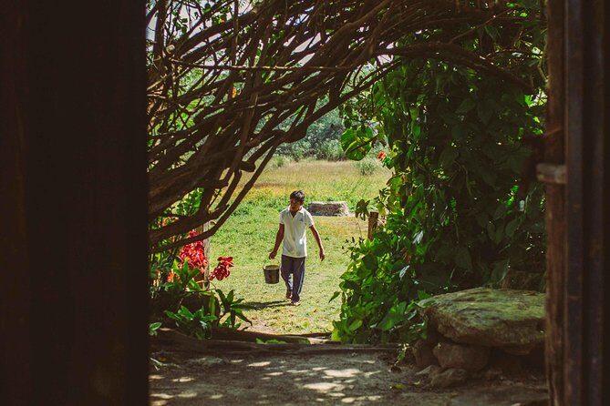 Mayan Backroads Private Bike Tour from Tulum - Frequently Asked Questions