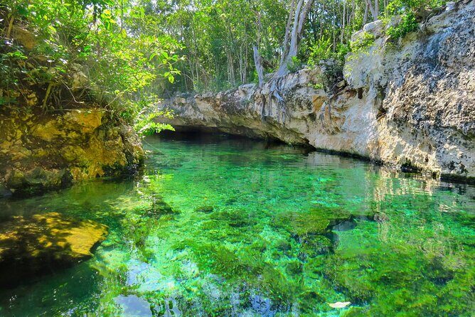 Mayan Cenotes Experience with Mayan Ruins or Local Community - Final Thoughts: Is This Tour Right for You?