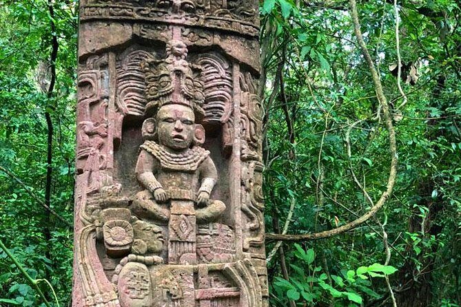 Mayan Eden Eco Park, Chocolate Factory & Transfer - An In-Depth Look at the Tour Experience