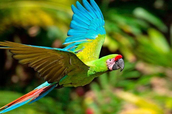 Mayan Eden Eco Park, Chocolate Factory & Transfer - Practical Considerations