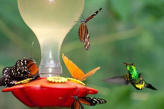 Mayan Eden Eco Park, Chocolate Factory & Transfer - Final Thoughts