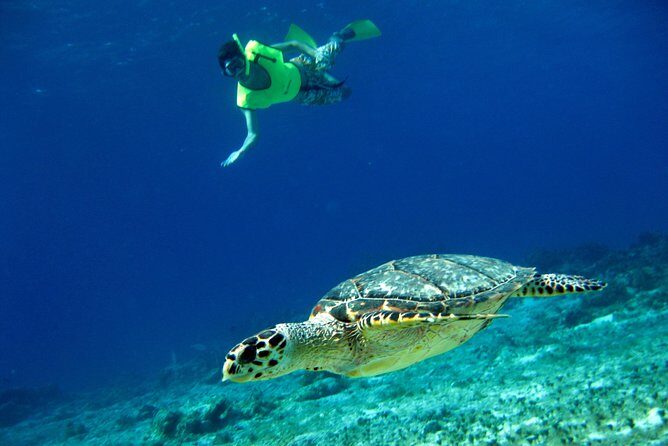 Mayan Flavors & Tequila Tasting + Beach Time - A Deep Dive into the Mayan Flavors & Tequila Tasting Tour