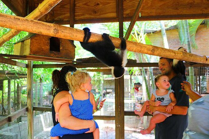 Mayan Jungle Zipline, Monkey & Sloths, City Tour & Private Vehicle - An In-Depth Look at the Roatan Private Tour Experience
