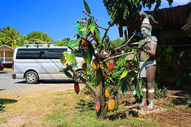 Mayan Jungle Zipline, Monkey & Sloths, City Tour & Private Vehicle - Practical Details and What to Expect