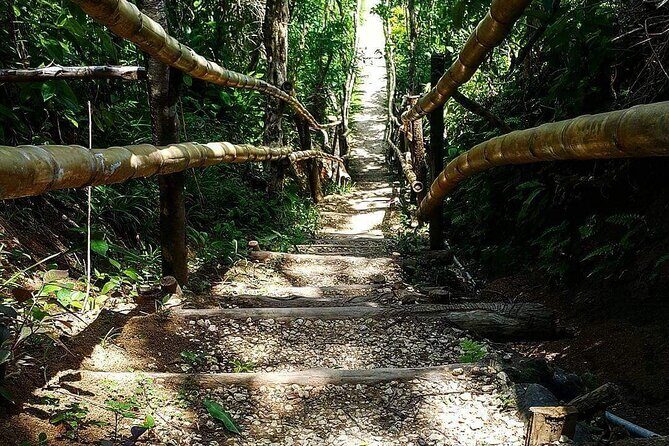 Mayfield Falls, Blue Hole & Rick's Café Tours/Weed Farm option - Detailed Breakdown of the Itinerary